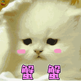 小猫 猫 蟹蟹 谢谢 soogif soogif出品