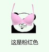 熊猫头 恶搞 雷人 斗图 这是粉红色