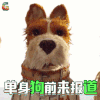 犬之岛 单身狗前来报道 君主 soogif soogif出品