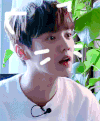 鹿晗 懵
