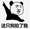 暴漫 文字表情包 这支狗拍了拍我 魔性 沙雕 逗