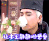 何晟铭 soogif soogif出品 让本王静静地感受
