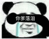熊猫人 熊猫 小熊猫 搞怪 逗