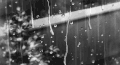 下雨 美景 天气 伤感