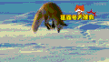 狐狸 雪地 冬天捕食 长尾巴