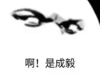 暴漫 文字表情包 啊是成毅 搞笑 逗 魔性