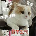 萌宠 猫咪 我不生气 宽容 算了 生气