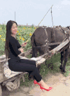 美女 气质 时尚 丰满