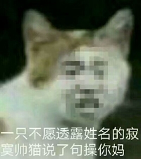 寂寞帅猫说了句操你妈 斗图 猥琐 暴漫