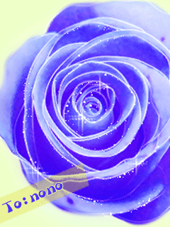 壁纸 玫瑰花 紫色 漂亮