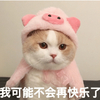 萌宠 猫星人 我可能不会再快乐了 难受 呆萌 可爱