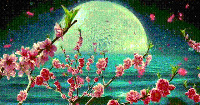 花瓣 美景 中秋节 月亮