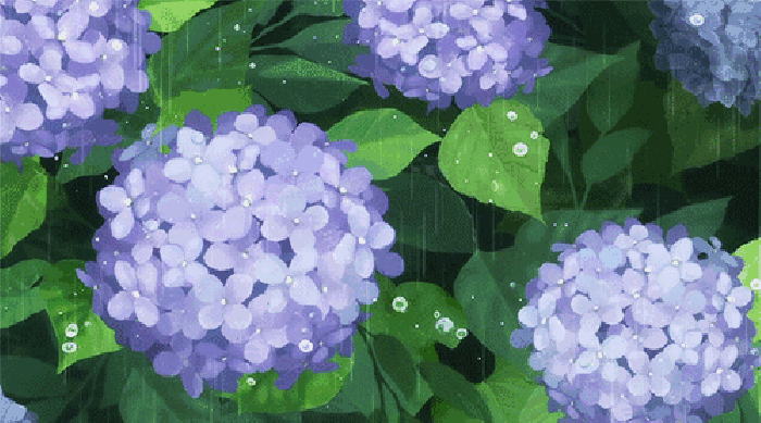卡通 花朵 紫色 雨滴