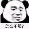 萌宠 猫星人 怎么不服 生气 搞怪 逗