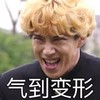 我是大哥大 斗图 生气 气到变形