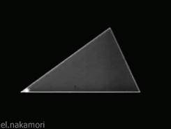 几何 geometry 三角 角度