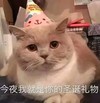 萌宠 猫星人 今夜我就是你的圣诞礼物 开心 呆萌 可爱