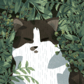 背景 卡通 猫咪 清新