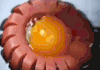 soogif soogif出品 美食 火腿肠