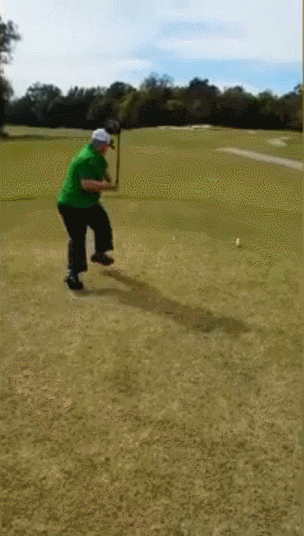 高尔夫 摔倒 草地 大树