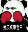 金馆长 拳套 熊猫头 猪皮铁拳警告