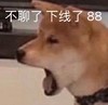 萌宠 汪星人 不聊了 下线了 搞怪 呆萌