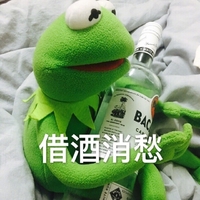 布偶青蛙 绿色 搞笑 可爱 斗图 借酒消愁