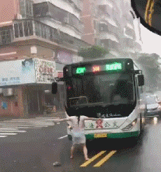 公交车 美女 雨刷 斑马线