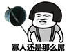 蘑菇头 装逼 贱贱 寡人还是那么屌