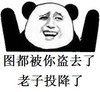 暴漫熊 可爱 呆萌 斗图 投降了