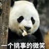 萌宠 熊猫 一个挑事的微笑 可爱 搞怪 呆萌