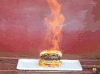 芝士汉堡 汉堡火焰 燃烧 美食 食物 特别 cheeseburger food