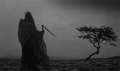 片内容 万圣节 黑色 死亡 哥特 吓人的 黑色和白色 哥特式 风 幻想