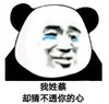暴漫 熊猫头 我姓蔡却猜不透你的心 搞笑 逗 魔性