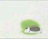 夏目友人帐 猫咪老师 抬头 蠢萌