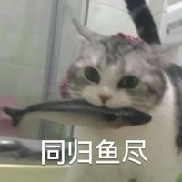 萌宠 喵星人 同归于尽 贪吃 搞怪 逗
