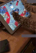 狗狗 玩iPad 打王者 神犬