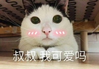 叔叔 我可爱吗 猫 害羞