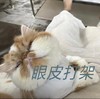 萌宠 猫星人 眼皮打架 困了 可爱 呆萌