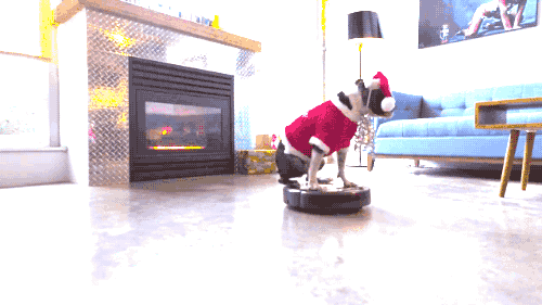 狗狗 可爱 圣诞帽 旋转 地面自动清洁器