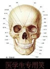 骷髅头 恐怖 讲解 医学生专用笑
