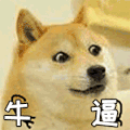 赞 good 萌宠 狗 柴犬 牛逼 棒