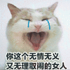 萌宠 猫 猫咪 喵星人 无情无义 伤心 哭