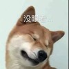萌宠 汪星人 没眼看 生气 呆萌 可爱