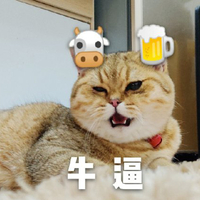 萌宠 猫星人 牛逼 开心 呆萌 可爱