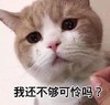 萌宠 猫星人 我还不够可怜吗 难受 呆萌 可爱