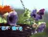 花开时节