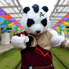 熊本熊 捶胸 可爱 萌宠