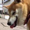 二汪 搞笑 坏笑 斜视