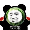 暴漫 熊猫头 瓜来了 开心 搞怪 逗